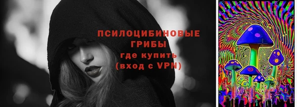 молекула духа Балахна