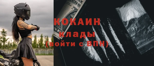 шишки Белокуриха
