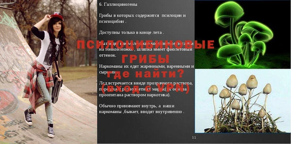 молекула духа Балахна
