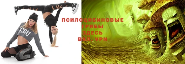 шишки Белокуриха