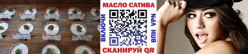 ТГК THC oil  мега как зайти  Никольск 